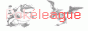 [Pokleague]